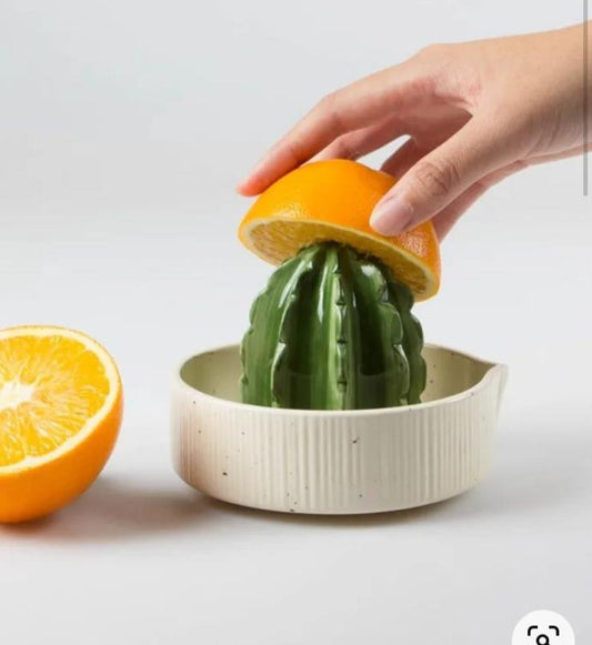 Handcrafted citrus juicer 